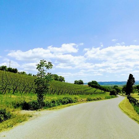 Centralissimo nel cuore del borgo Suvereto Esterno foto
