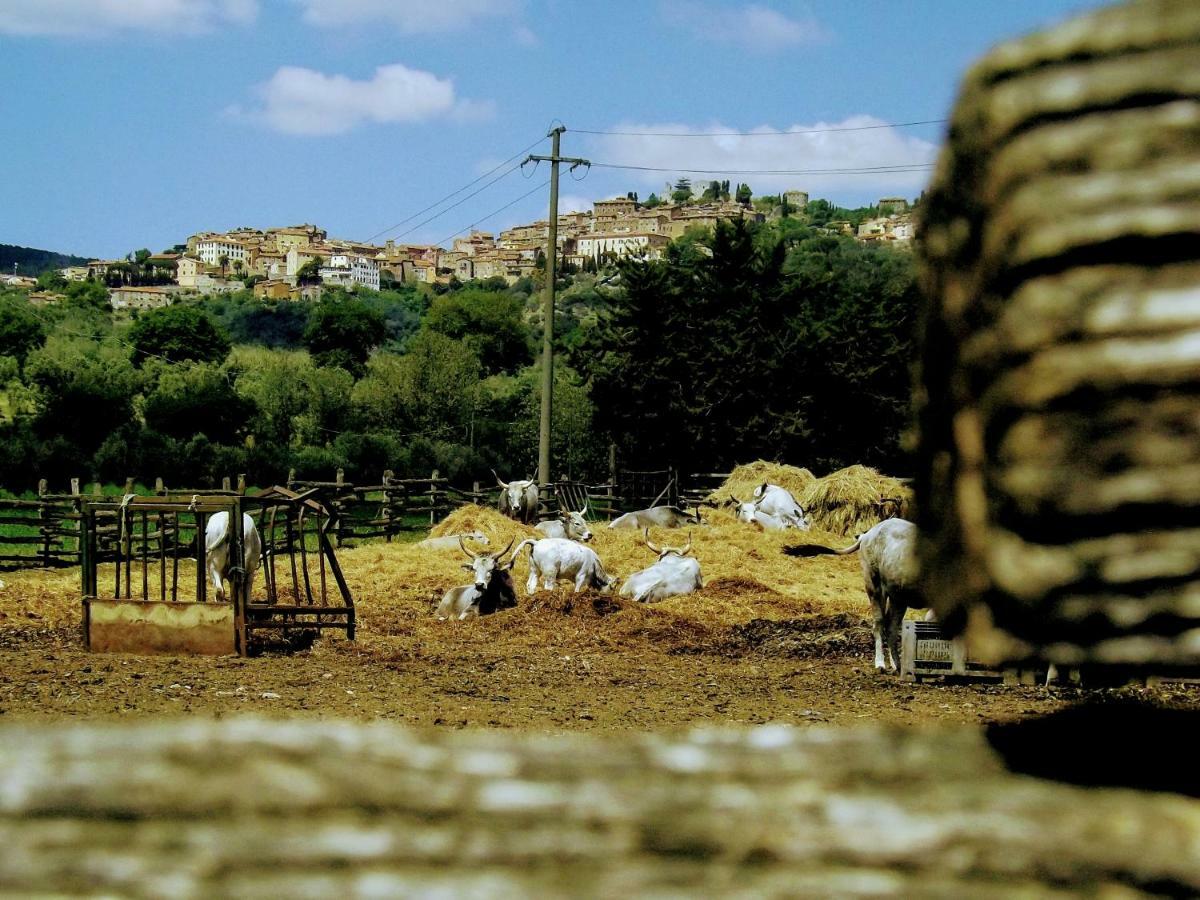 Centralissimo nel cuore del borgo Suvereto Esterno foto